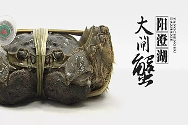 陽(yáng)澄湖大閘蟹怎么做最好吃