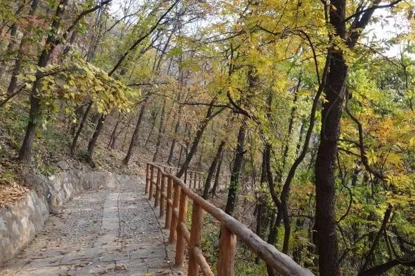 石家莊天桂山景區(qū)開(kāi)放了嗎